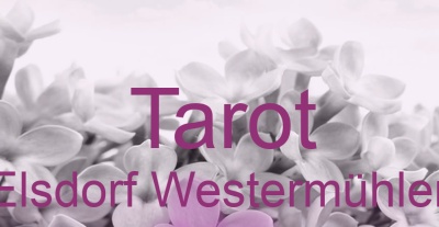 Tarot Elsdorf Westermühlen | Top-Experten für Kartenlegen, Wahrsagen, Hellsehen, Zukunftsdeutung. Tarot Elsdorf Westermühlen | Top-Experten für Kartenlegen, Wahrsagen, Hellsehen, Zukunftsdeutung.